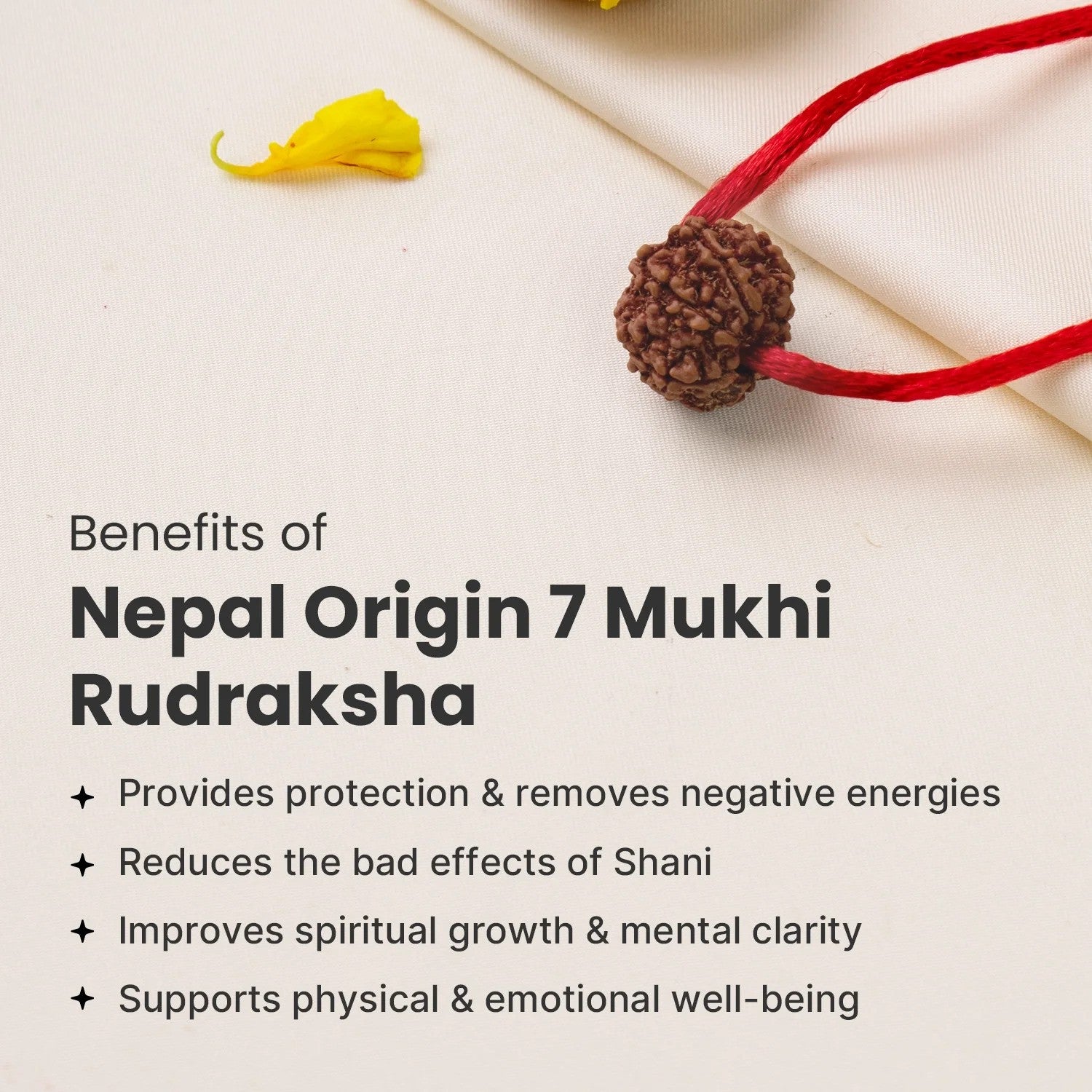 Nepal Origin 7 Mukhi Rudraksha - 17mm to 22mm Secondary image