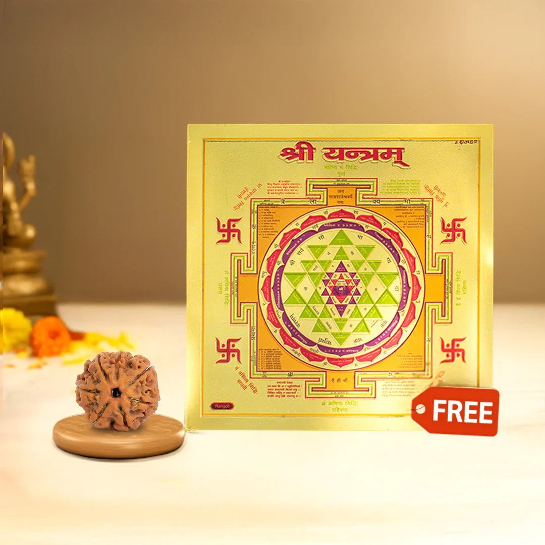 7 Mukhi Rudraksha with FREE Shree Yantra (6*6 inch) Main image