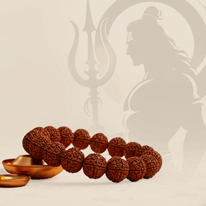Rudraksha