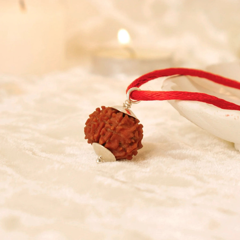 Nepal Origin 5 Mukhi Rudraksha - 17mm to 22mm